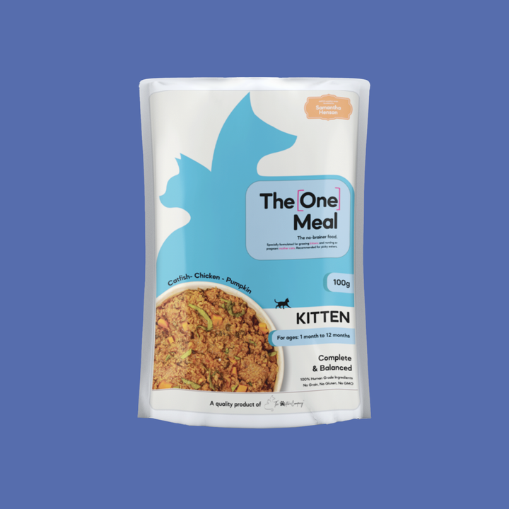 Kitten Food (1-12 Months) | 100g - YT