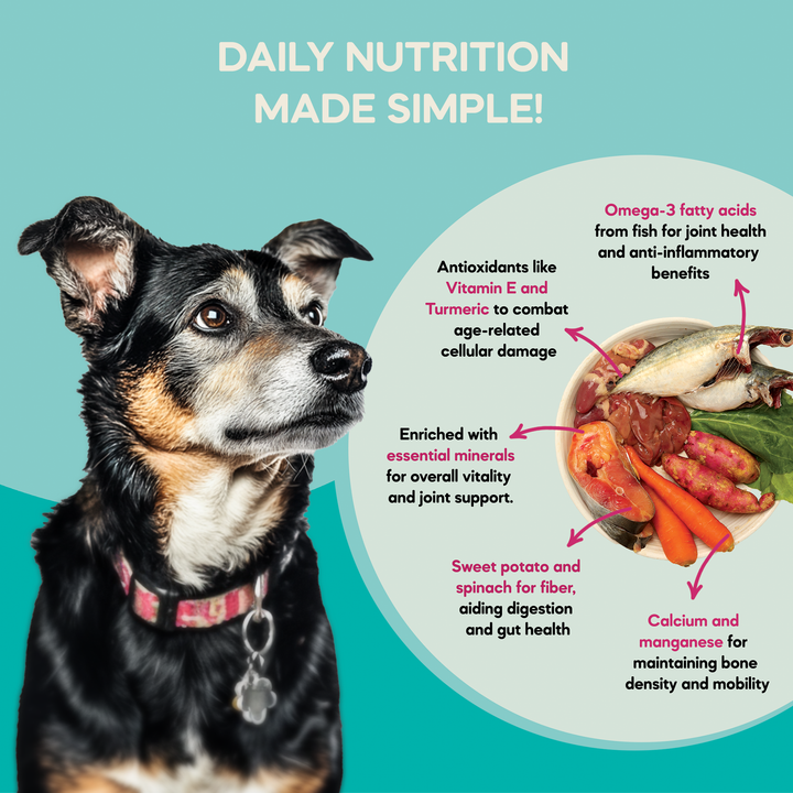 Small Dog Food for Hip & Joint Support (Adult & Senior) | 200g