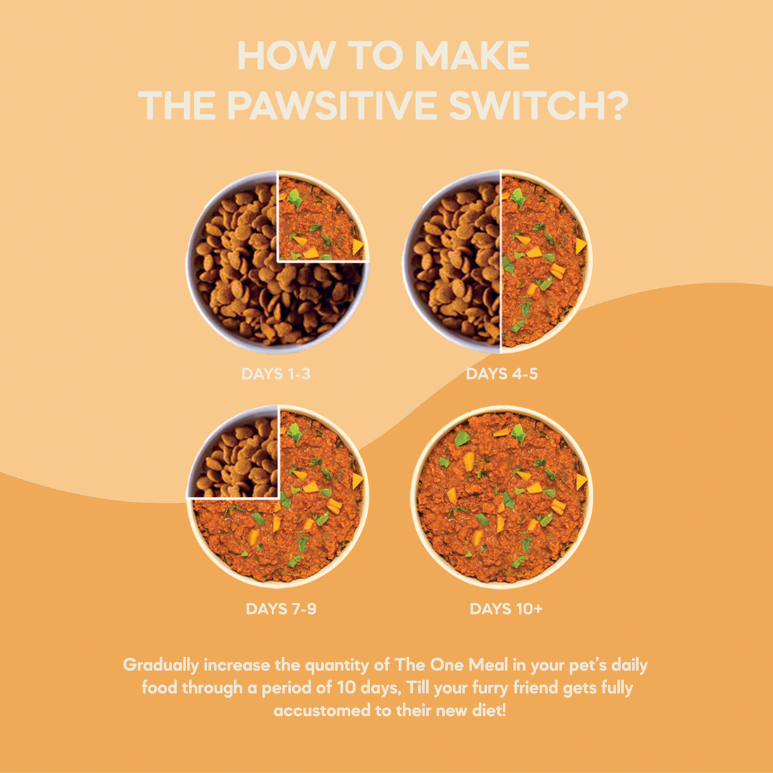 Mini Puppy Food (1 month to 12 months) | 100g