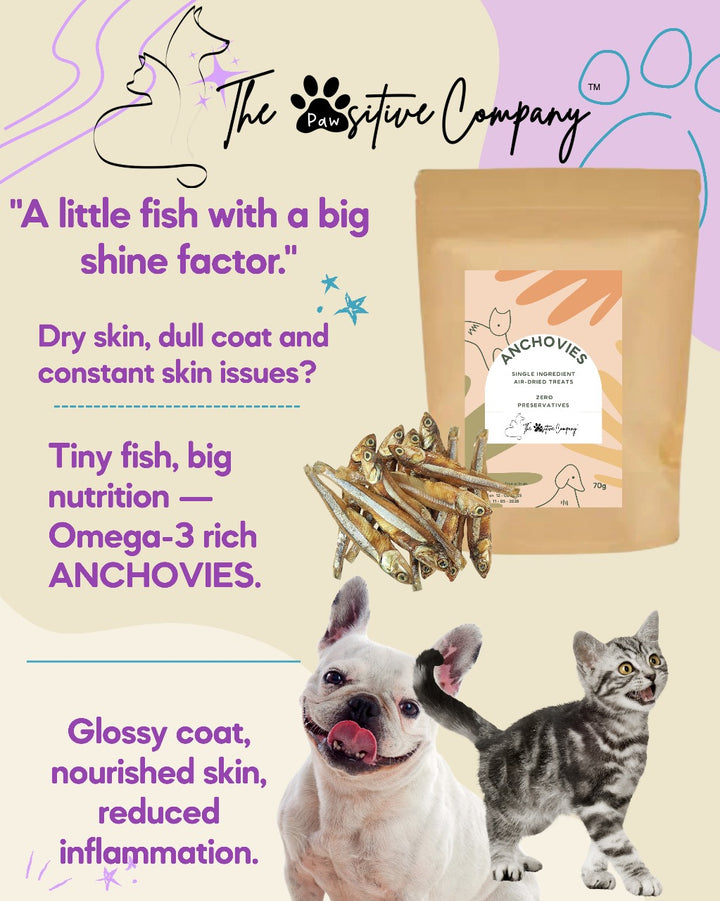 Anchovies - Air-dried Treats for Cats & Dogs - 70g