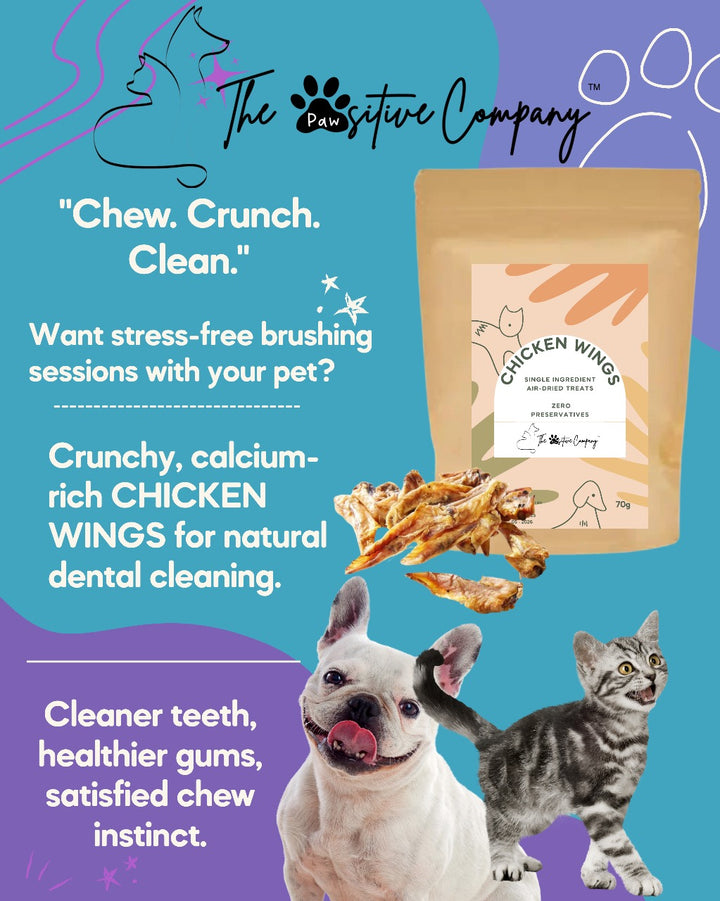 Chicken Wings - Air-dried Treats for Cats & Dogs - 70g