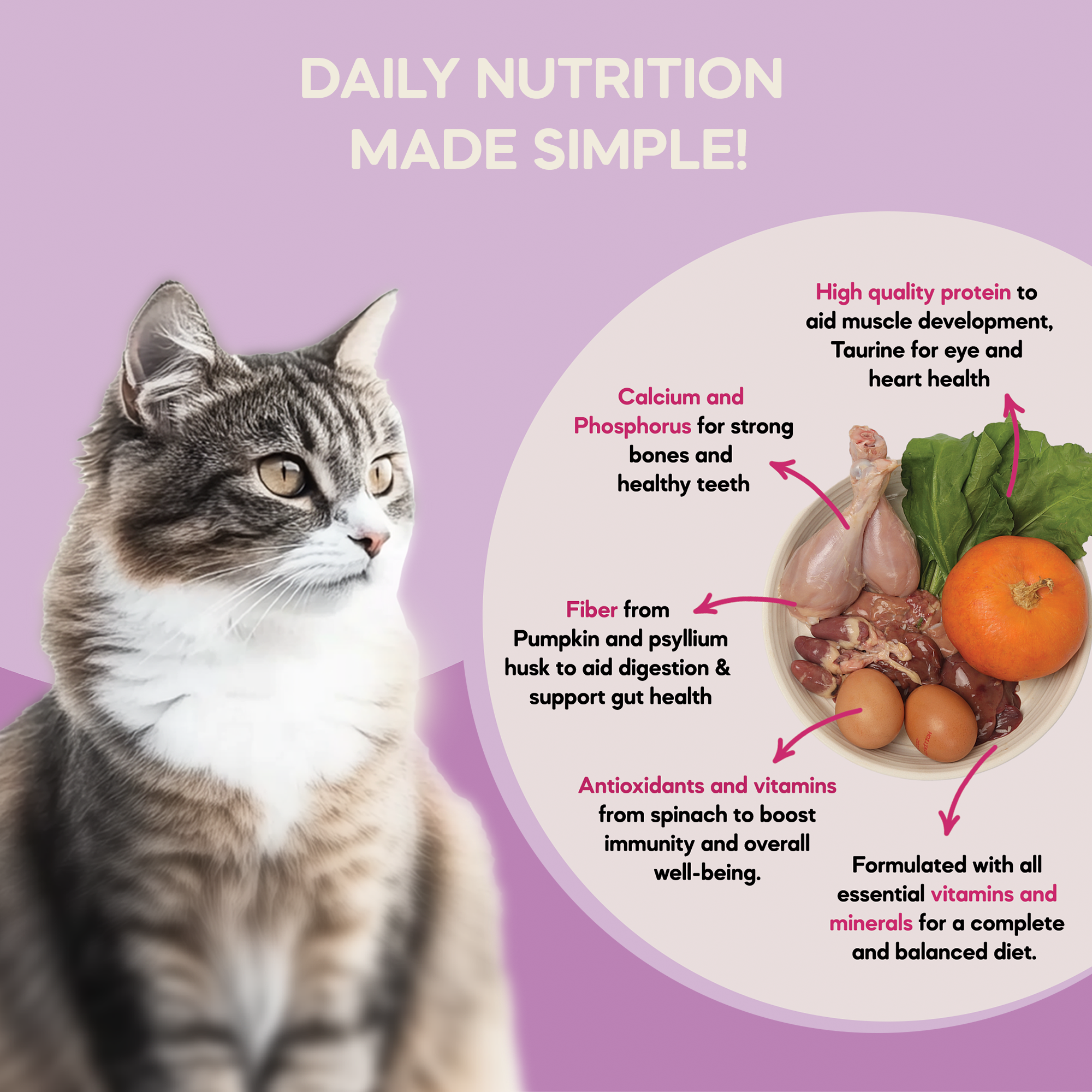 Adult Cat Food Duo Pack (1+ Years) | 200g
