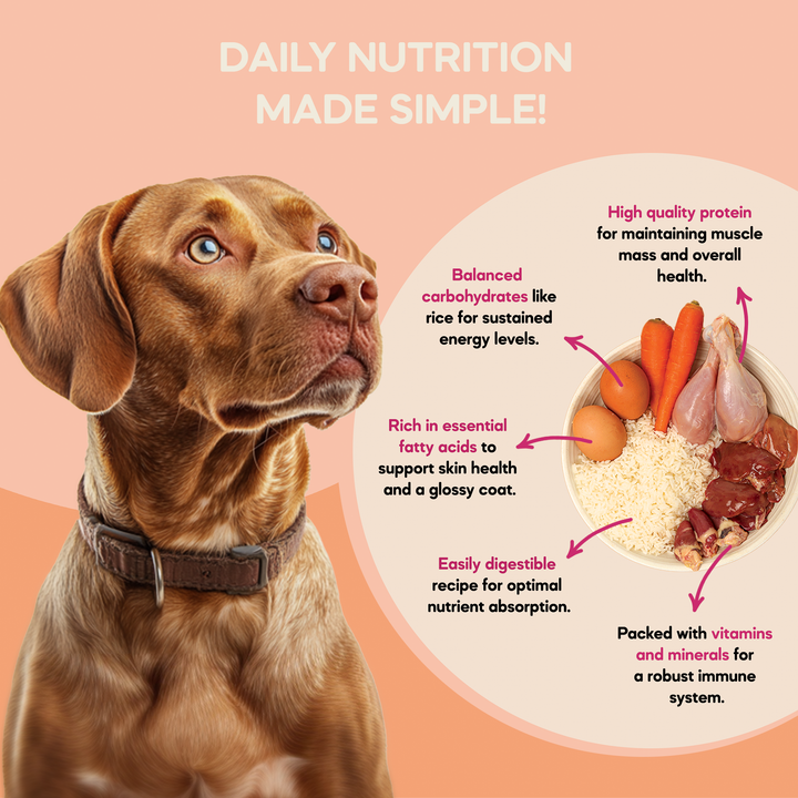 Small Adult Dog Food (1+ Years) | 200g