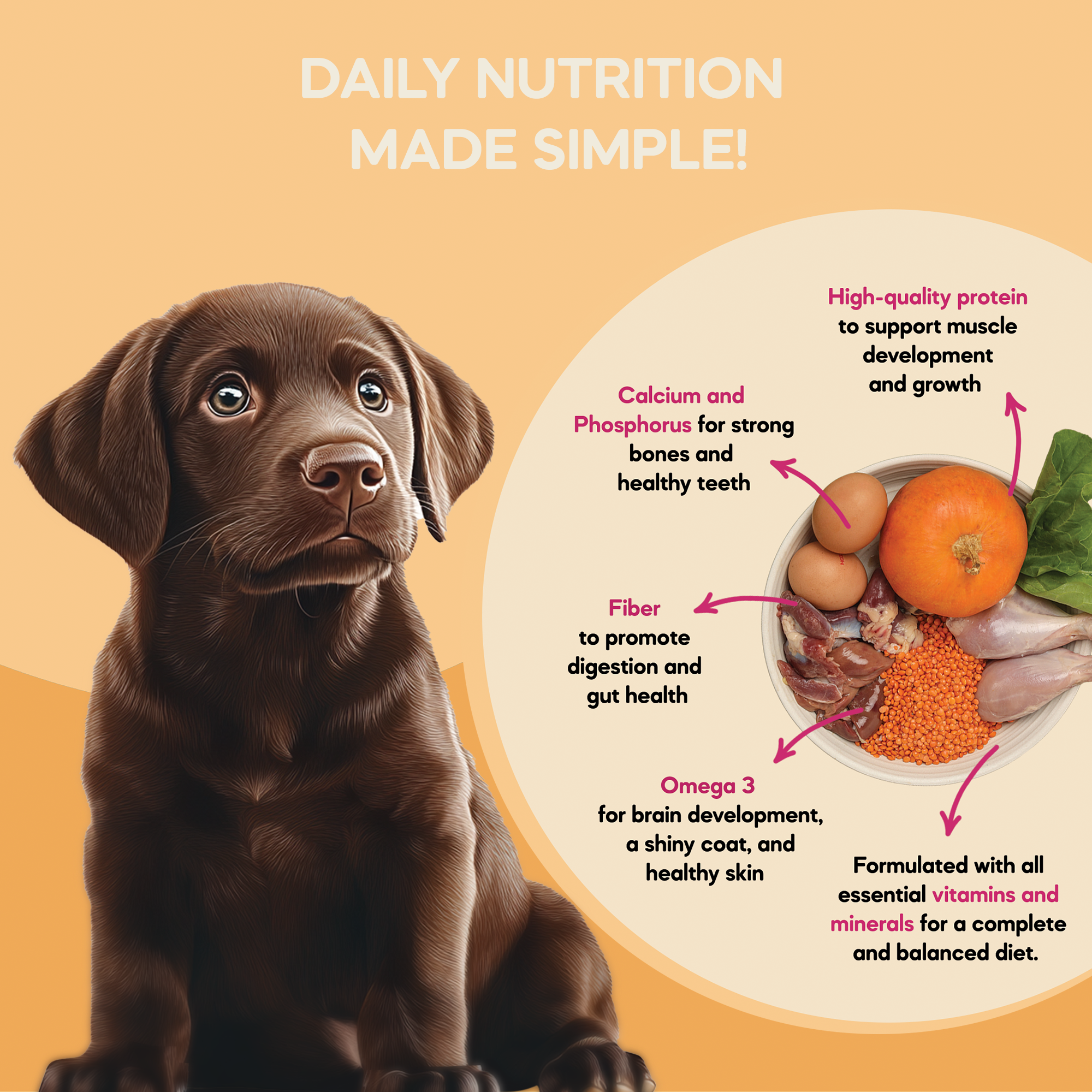 Mini Puppy Food (1 month to 12 months) | 100g
