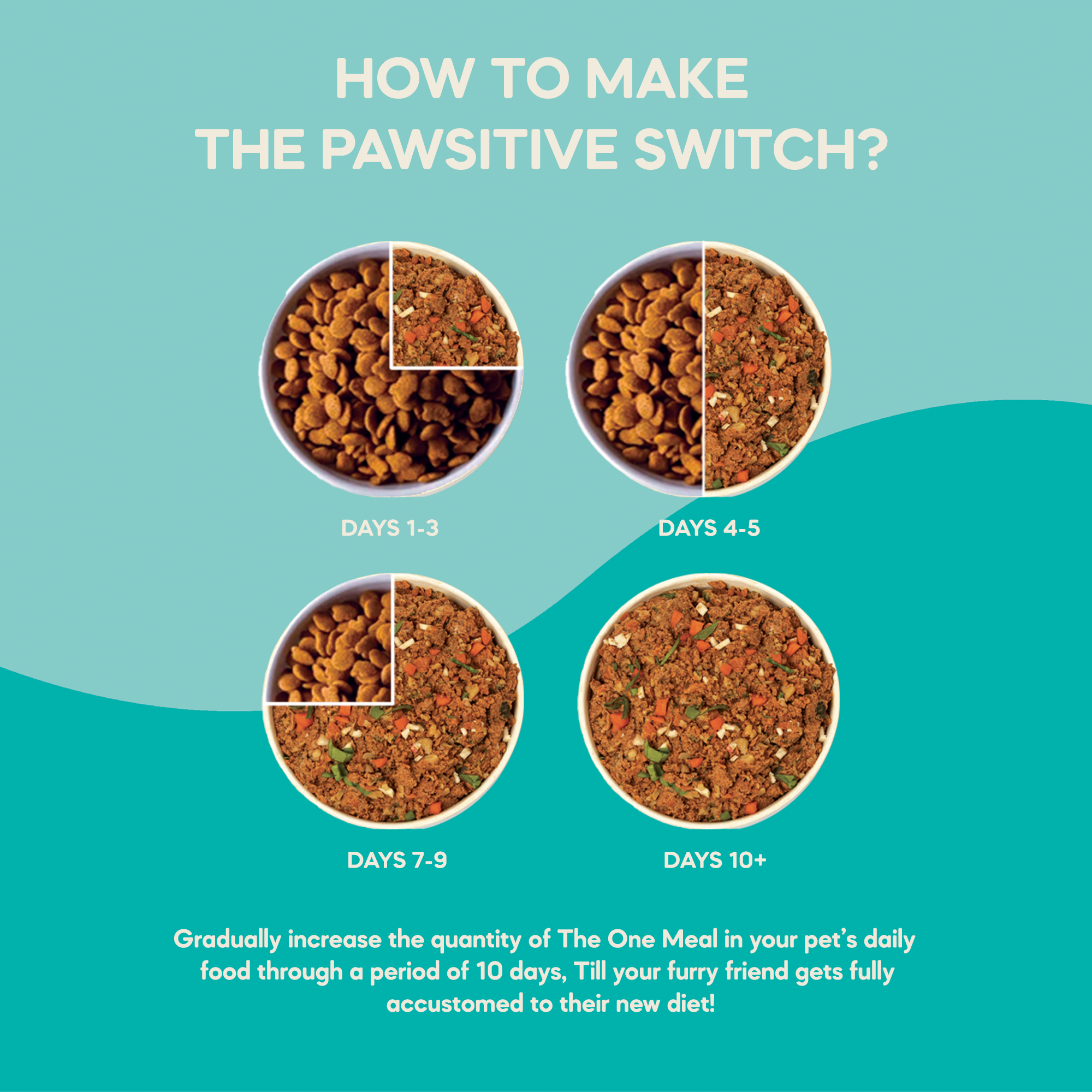 Mini Dog Food for Hip & Joint Support (Adult & Senior) | 100g