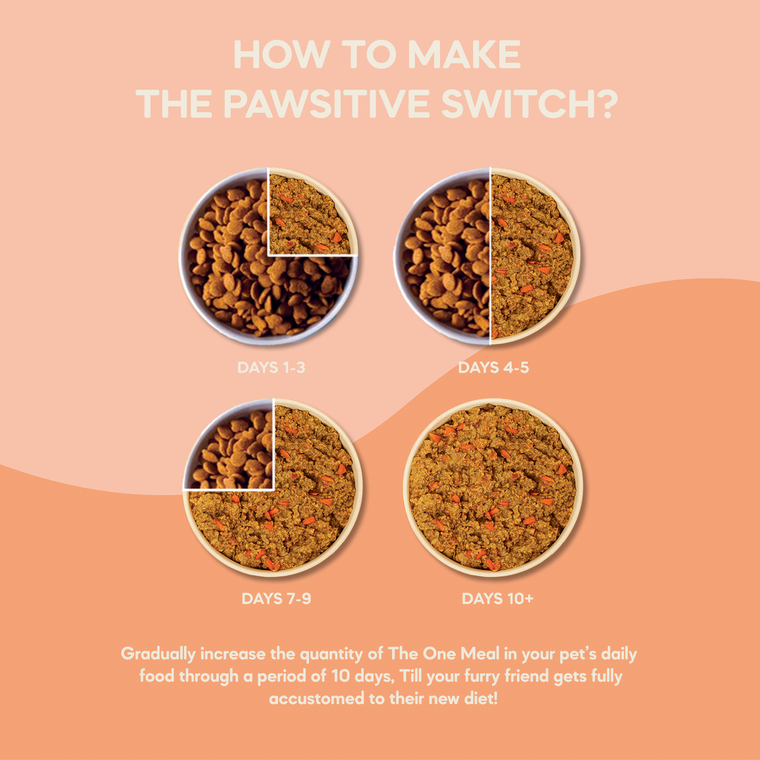 Medium Adult Dog Food (15+ months) | 300g