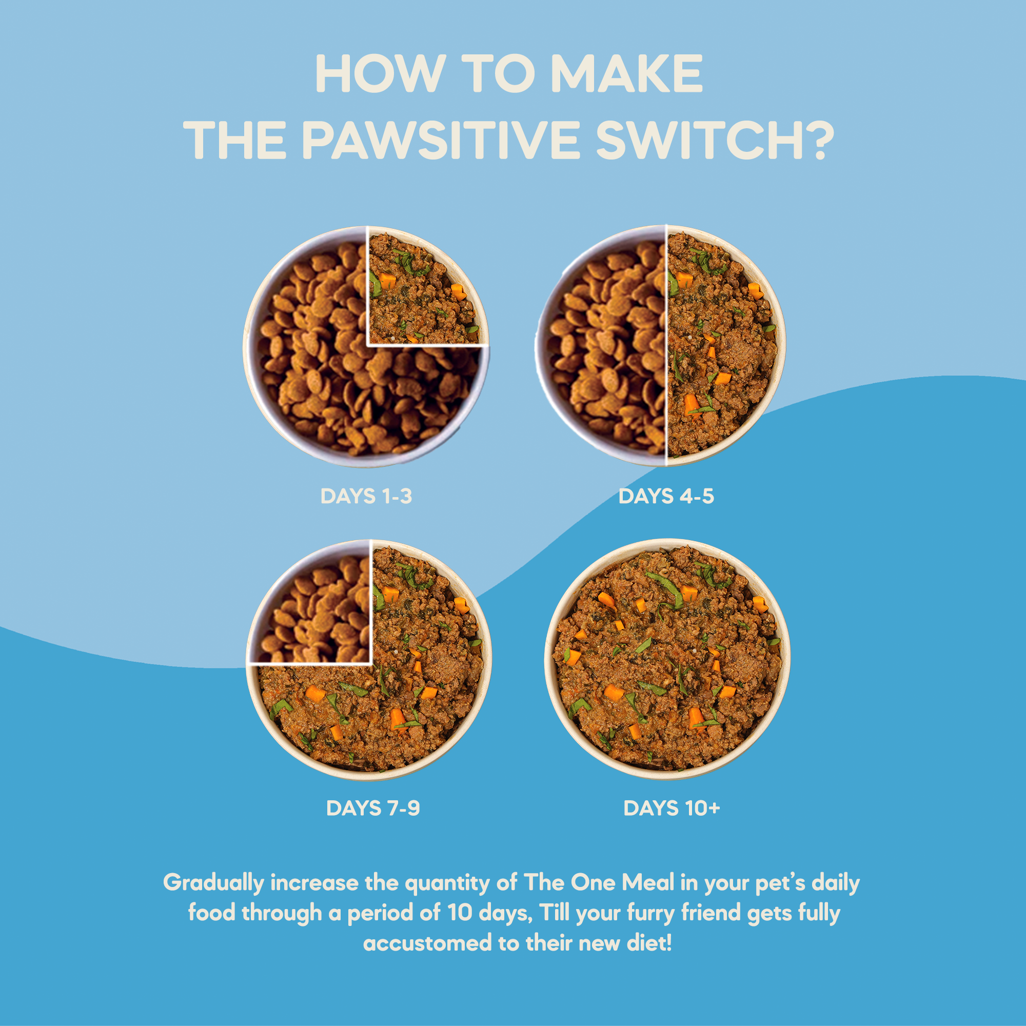 Mother and Baby Cat Food | 300g